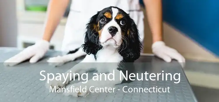 Spaying and Neutering Mansfield Center - Connecticut
