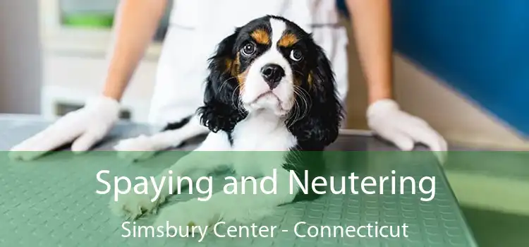 Spaying and Neutering Simsbury Center - Connecticut