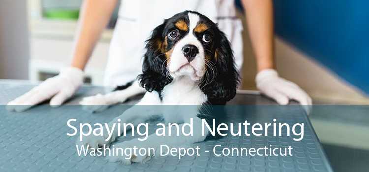 Spaying and Neutering Washington Depot - Connecticut