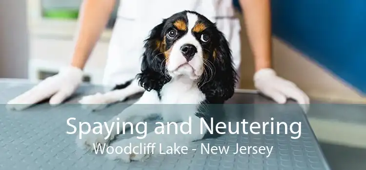 Spaying and Neutering Woodcliff Lake - New Jersey