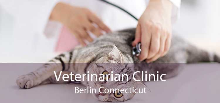 Veterinarian Clinic Berlin Connecticut