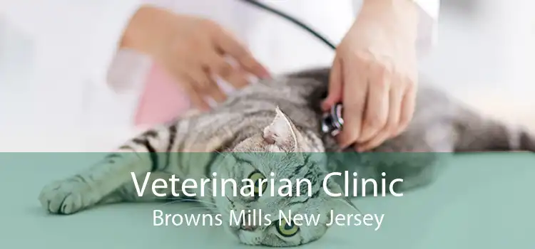 Veterinarian Clinic Browns Mills New Jersey