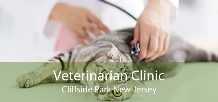 Veterinarian Clinic Cliffside Park New Jersey