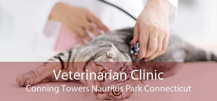 Veterinarian Clinic Conning Towers Nautilus Park Connecticut