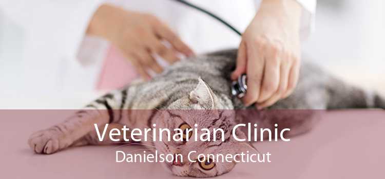 Veterinarian Clinic Danielson Connecticut