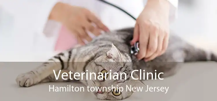 Veterinarian Clinic Hamilton township New Jersey