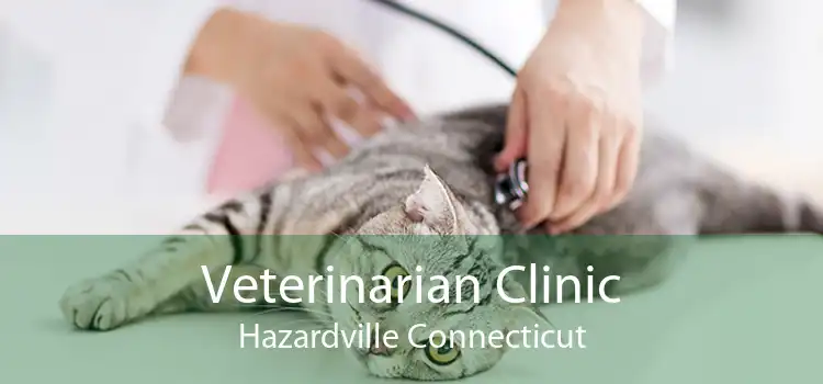 Veterinarian Clinic Hazardville Connecticut