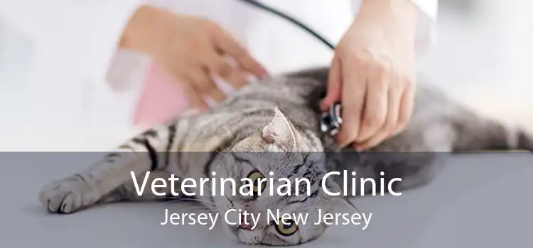 Veterinarian Clinic Jersey City New Jersey