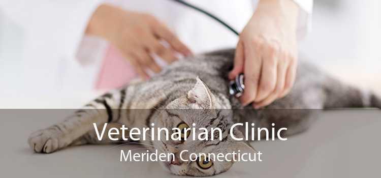 Veterinarian Clinic Meriden Connecticut