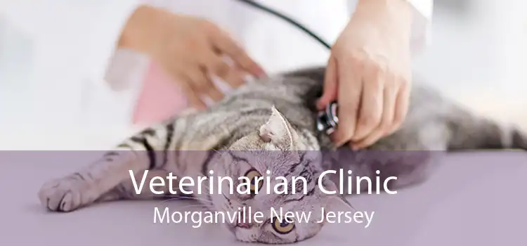 Veterinarian Clinic Morganville New Jersey