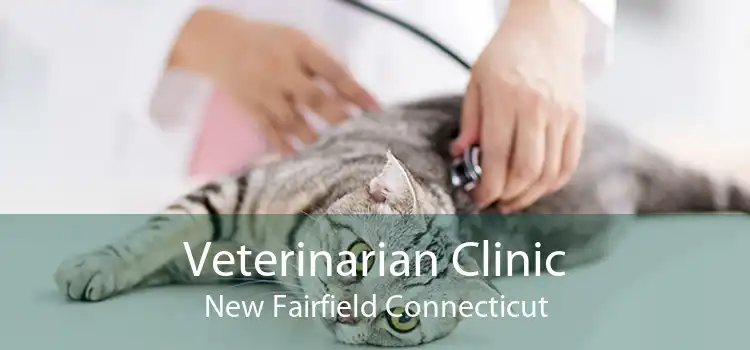 Veterinarian Clinic New Fairfield Connecticut