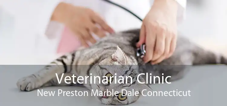 Veterinarian Clinic New Preston Marble Dale Connecticut