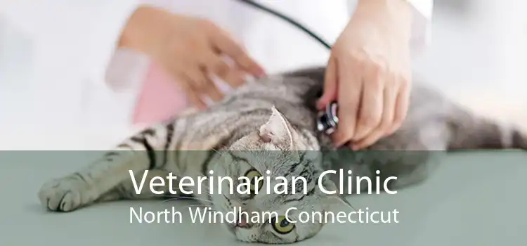 Veterinarian Clinic North Windham Connecticut