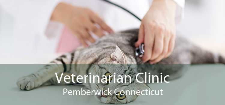 Veterinarian Clinic Pemberwick Connecticut
