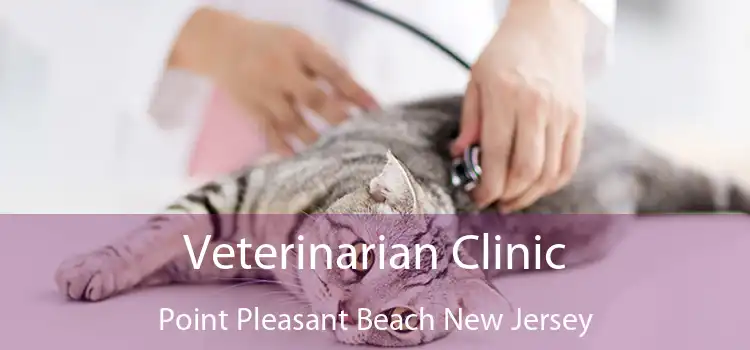 Veterinarian Clinic Point Pleasant Beach New Jersey