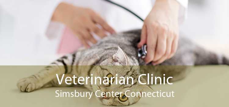 Veterinarian Clinic Simsbury Center Connecticut