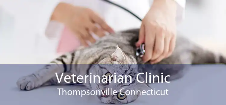 Veterinarian Clinic Thompsonville Connecticut