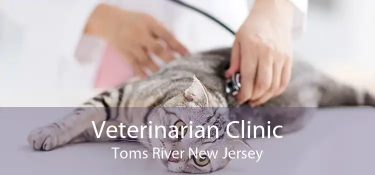 Veterinarian Clinic Toms River New Jersey