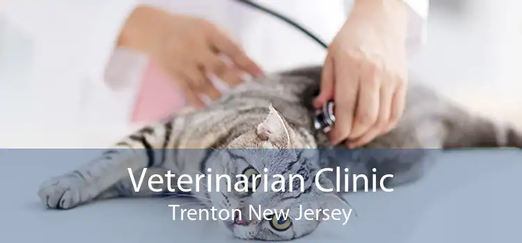 Veterinarian Clinic Trenton New Jersey