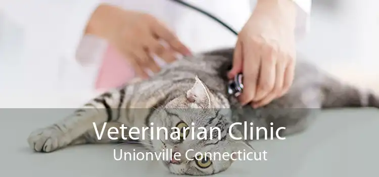 Veterinarian Clinic Unionville Connecticut