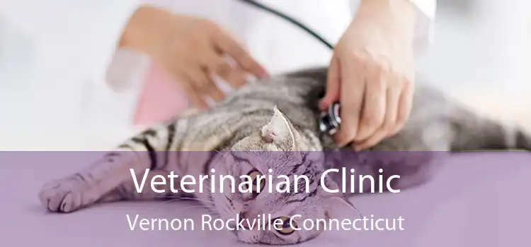 Veterinarian Clinic Vernon Rockville Connecticut