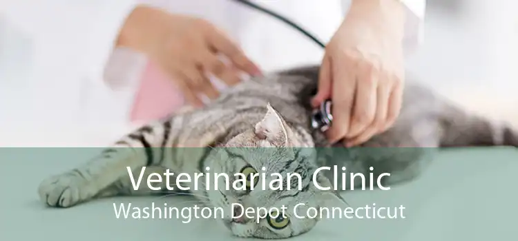 Veterinarian Clinic Washington Depot Connecticut