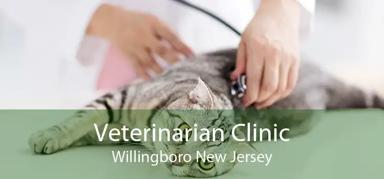 Veterinarian Clinic Willingboro New Jersey
