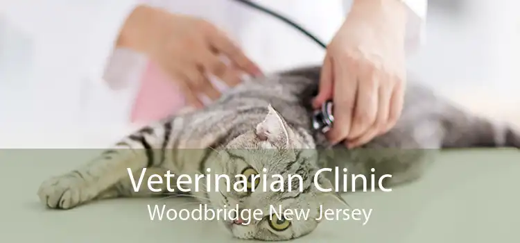 Veterinarian Clinic Woodbridge New Jersey
